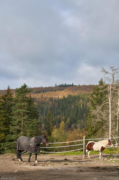 Holiday home Koselig Pa Gardstun I Oslo